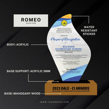 Load image into Gallery viewer, custom awards, custom trophies, custom plaques, trophy manufacturer, personalized awards, sports trophies, custom medals, corporate awards, academic awards, sports awards, employee awards, graduation plaques, award ceremonies, sales achievement award, custom trophy designs, high quality trophies, trophy shop in Bacolod City, custom awards in Negros Occidental, appreciation awards, engraved trophies