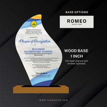 Load image into Gallery viewer, custom awards, custom trophies, custom plaques, trophy manufacturer, personalized awards, sports trophies, custom medals, corporate awards, academic awards, sports awards, employee awards, graduation plaques, award ceremonies, sales achievement award, custom trophy designs, high quality trophies, trophy shop in Bacolod City, custom awards in Negros Occidental, appreciation awards, engraved trophies