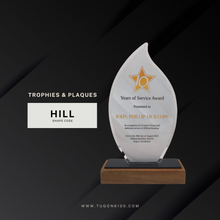 Load image into Gallery viewer, custom awards, custom trophies, custom plaques, trophy manufacturer, personalized awards, sports trophies, custom medals, corporate awards, academic awards, sports awards, employee awards, graduation plaques, award ceremonies, sales achievement award, custom trophy designs, high quality trophies, trophy shop in Bacolod City, custom awards in Negros Occidental, appreciation awards, engraved trophies