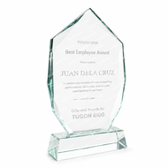 Glass plaque award for corporate recognition, employee appreciation, and service awards in Bacolod City