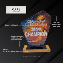 Load image into Gallery viewer, Why acrylic trophies and plaques are a more ideal choice for lasting recognition? The materials are more durable than glass and crystal awards, and the wood is far less delicate, making them long-lasting and resilient. Enjoy many years of appreciation with TUGON 6100 Trophies and Plaques.
